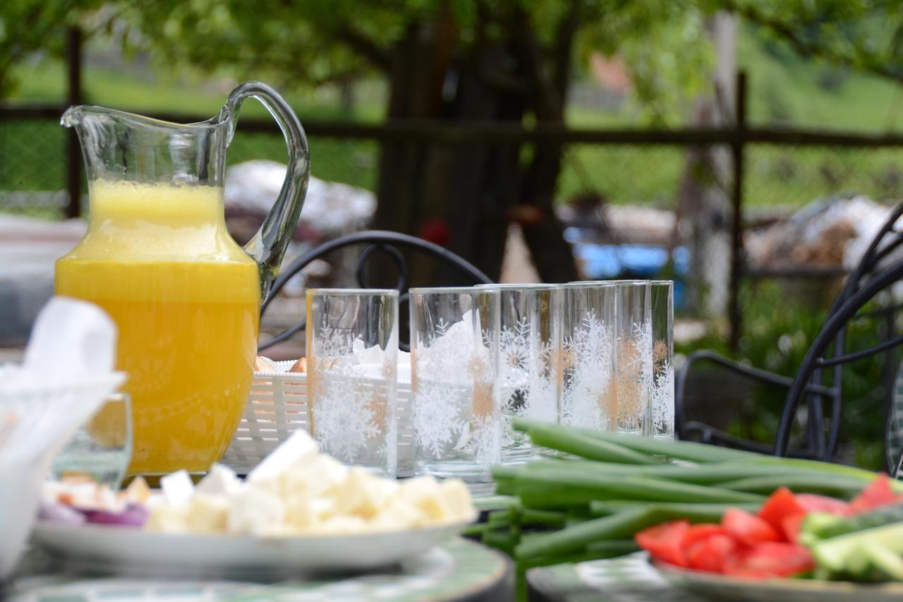 Gospodaria Lui Nea Ion Vama Buzăului Esterno foto