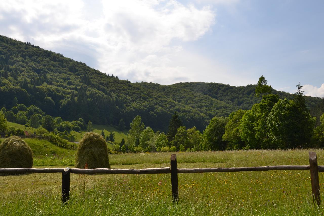 Gospodaria Lui Nea Ion Vama Buzăului Esterno foto