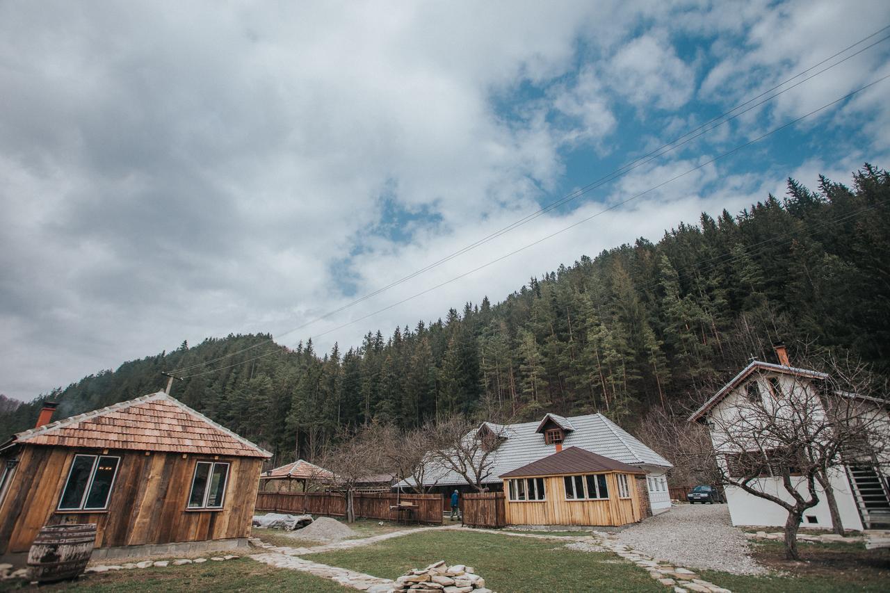 Gospodaria Lui Nea Ion Vama Buzăului Esterno foto