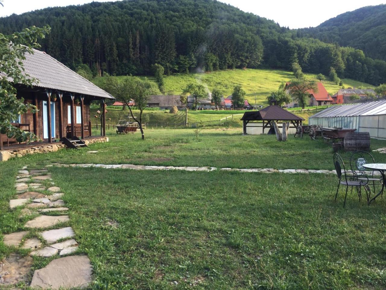 Gospodaria Lui Nea Ion Vama Buzăului Esterno foto