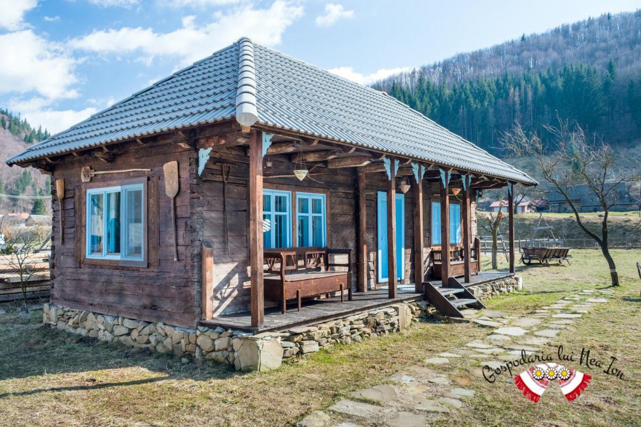 Gospodaria Lui Nea Ion Vama Buzăului Esterno foto